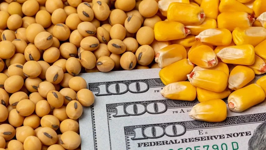 مستوردي خامات: الأسعار الحالية تقترب من سعر التكلفة نتيجة لوفرة المعروض
