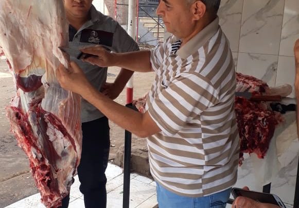 ضبط طن لحوم ودواجن غير صالحة وتحرير ٣٢ محضرا بالغربية