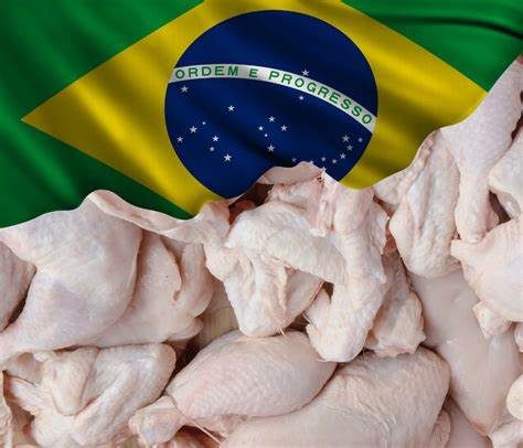 صادرات الدواجن البرازيلية