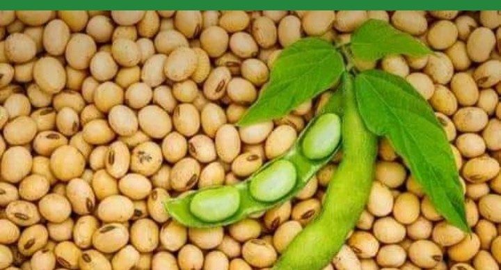 أسعار فول الصويا انخفاض قوي اليوم الأربعاء 1 مارس 2023