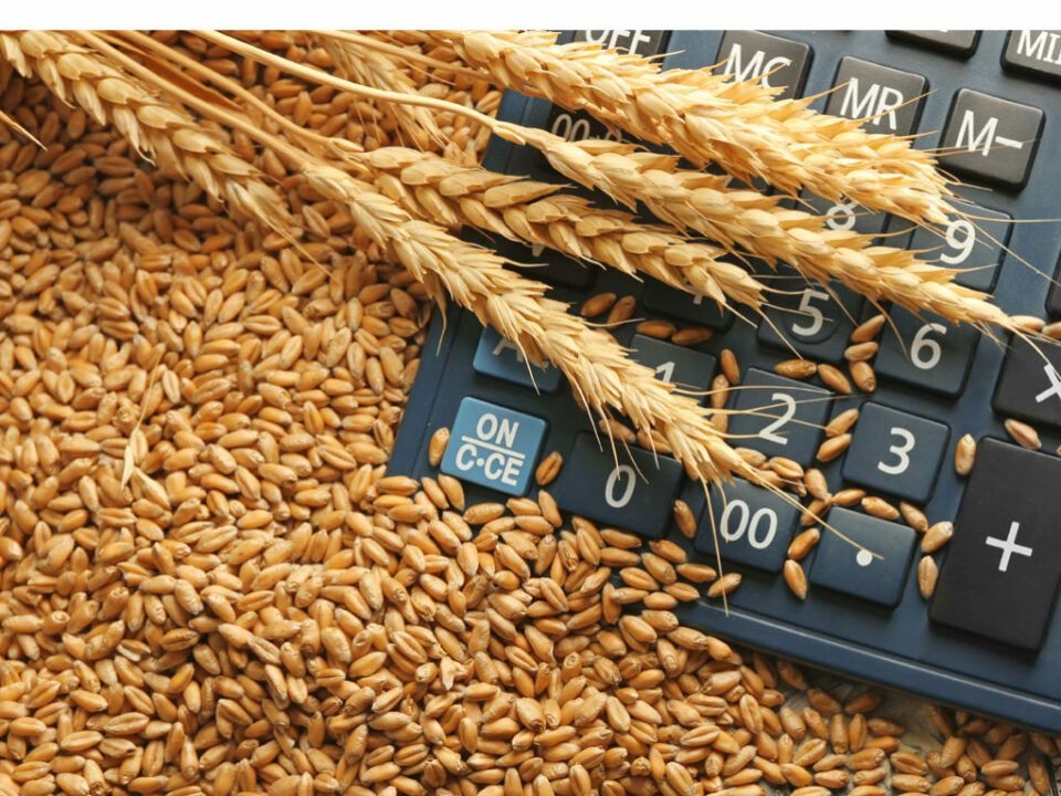 روسيا ترفع رسوم تصدير القمح بنسبة 25%