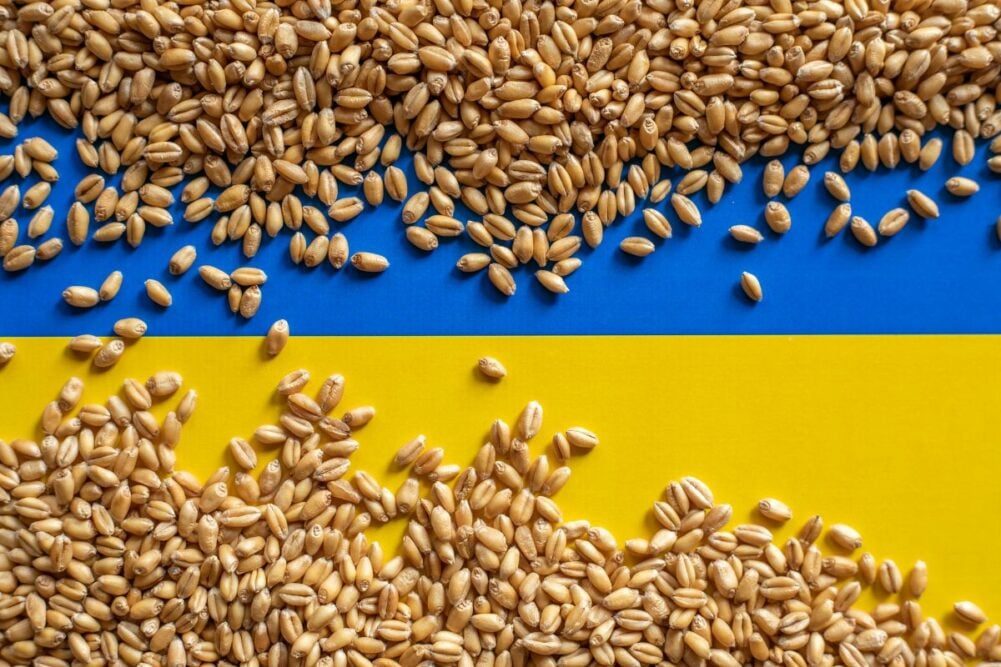 صادرات الحبوب الأوكرانية أقل بمقدار 12 مرة في الأيام الأولى من الموسم