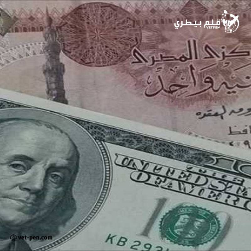 سعر الدولار اليوم