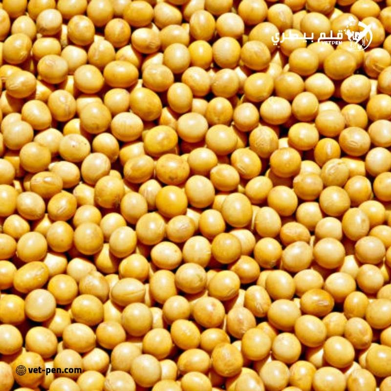 مبيعات فول الصويا الأمريكي تسجل 1.44 مليون طن خلال الأسبوع الماضي