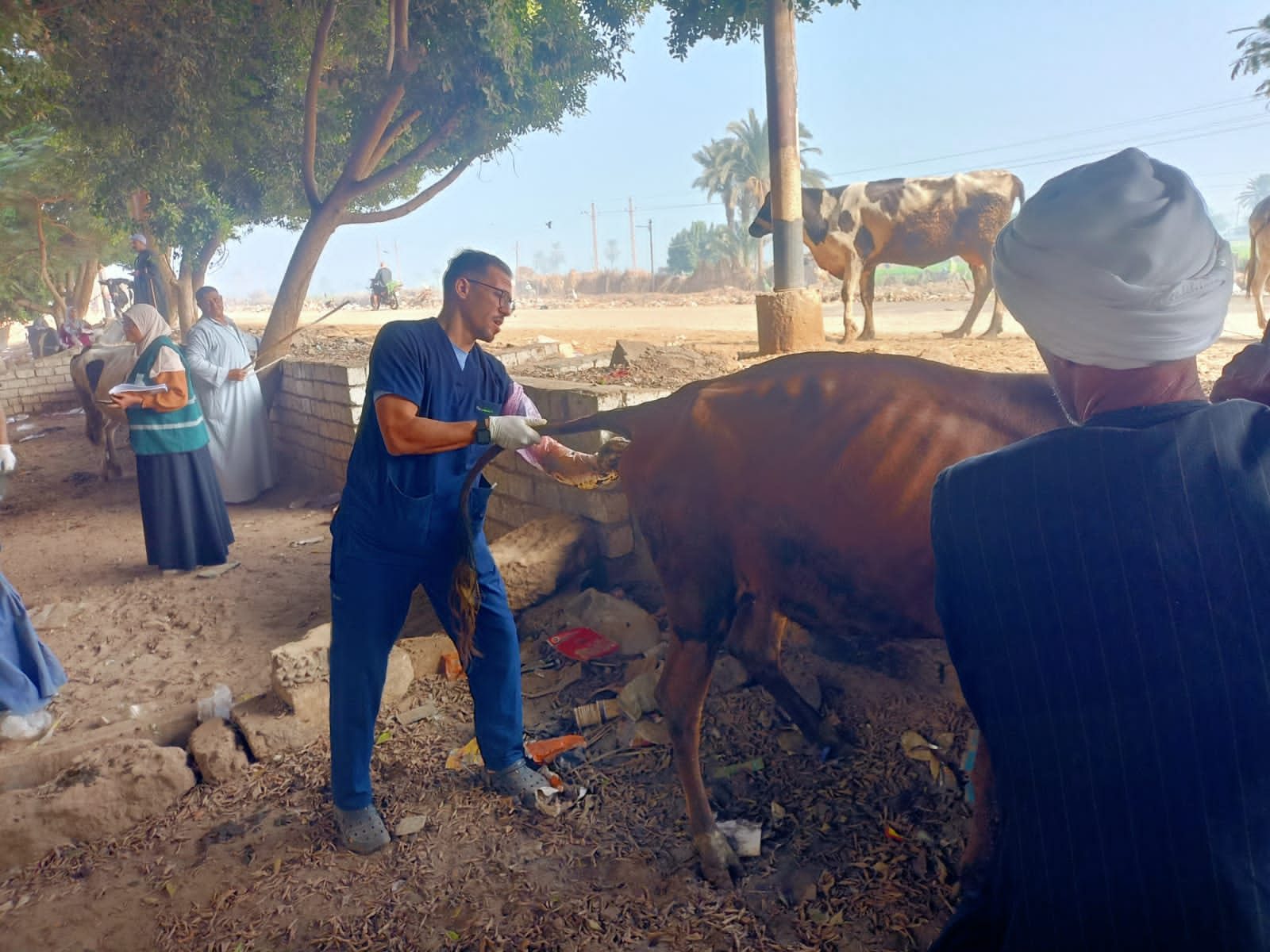 الزراعة
