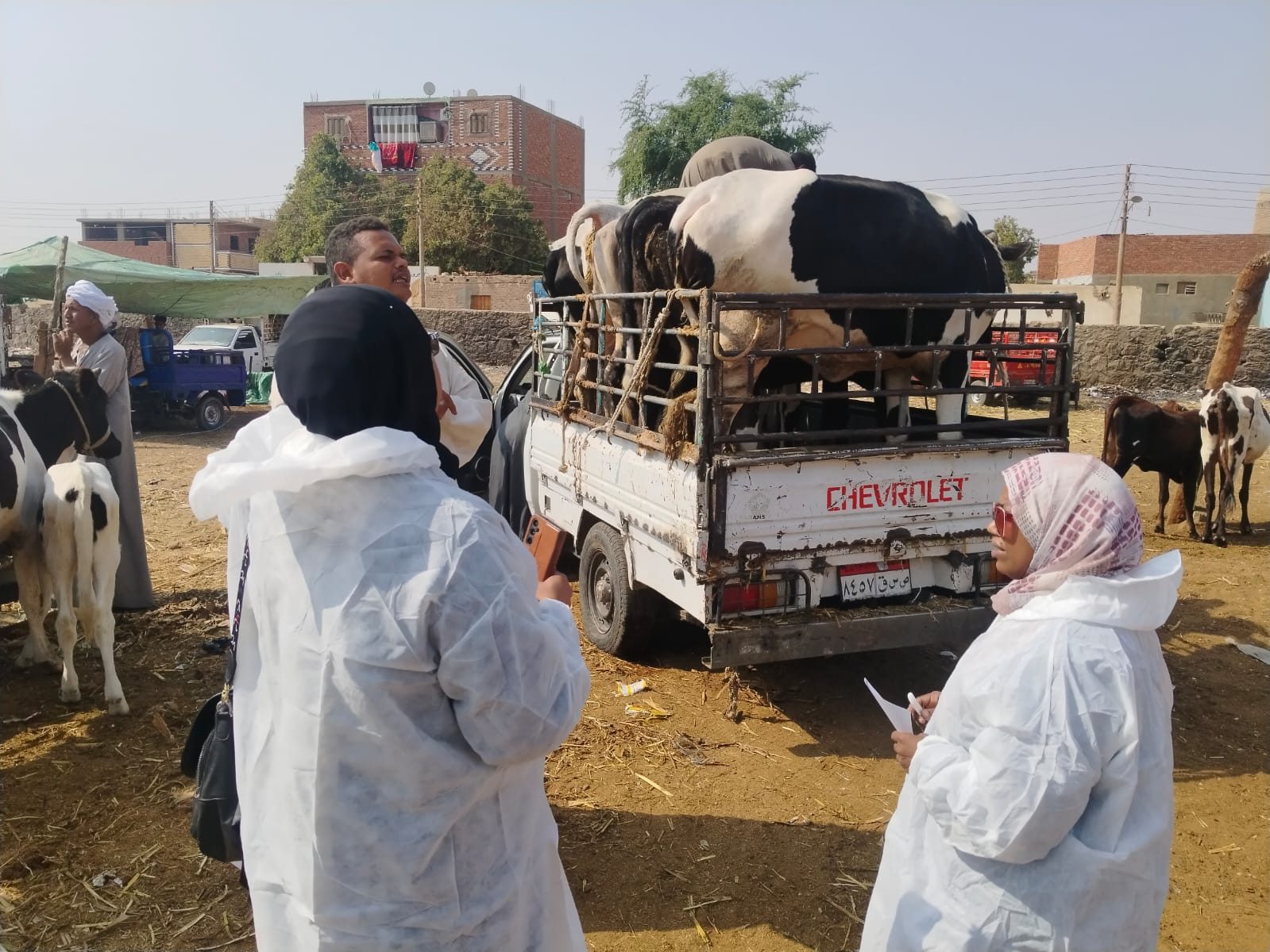 الزراعة