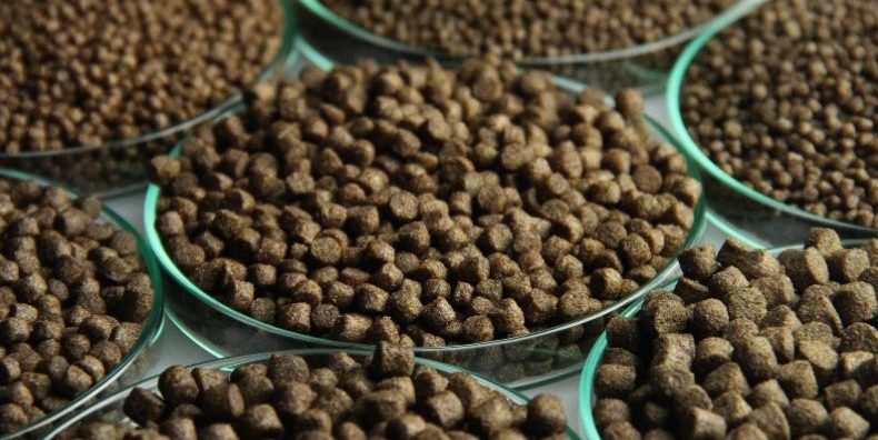خاص| كريم عثمان يكشف أهم التحديات التى تواجه شركات أعلاف الأسماك !