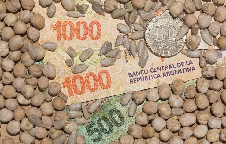 الأرجنتين تخفض العبء المالي على صادرات الحبوب بشكل مؤقت