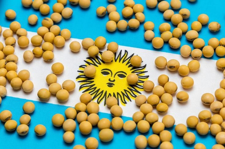 الأرجنتين تسجل رقما قياسيا لصادرات الحبوب والبذور الزيتية في السنة المالية 2025-2026