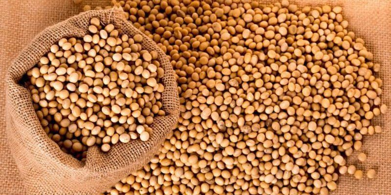 ضبط 1365 كجم فول الصويا مجهولة المصدر في الفيوم