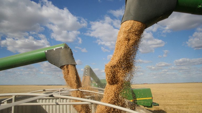 صادرات الحبوب الأوكرانية تتجاوز 29 مليون طن في إطار مبادرة البحر الأسود