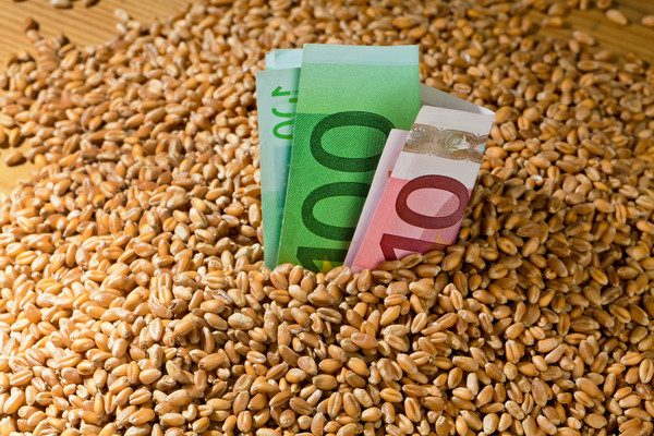 العقود الآجلة للقمح ترتفع ببورصة يورونكست لأعلى مستوى لها منذ 14 شهرًا.. مما يدعم الأسعار في أوكرانيا