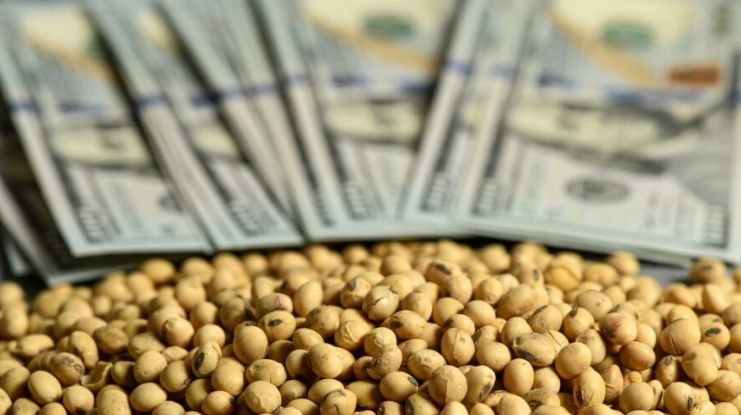 ارتفاع العقود الآجلة لفول الصويا إلى أعلى مستوياتها خلال أسبوع واحد يوم الثلاثاء 21-5-2025
