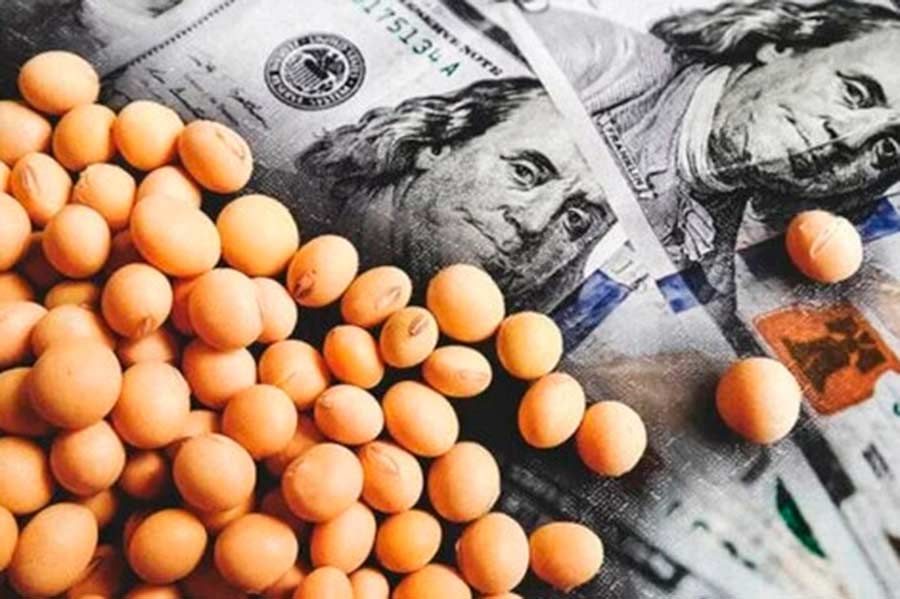 أسعار فول الصويا في أوكرانيا تستمر بالارتفاع تدريجياً على خلفية ارتفاع الطلب ومحدودية العرض