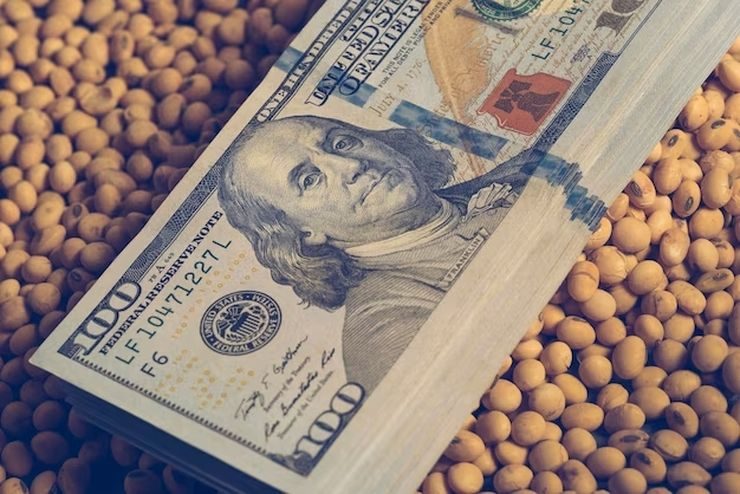 ارتفاع العقود الآجلة لفول الصويا يوم الثلاثاء وسط خفض توقعات الإنتاج الأمريكي