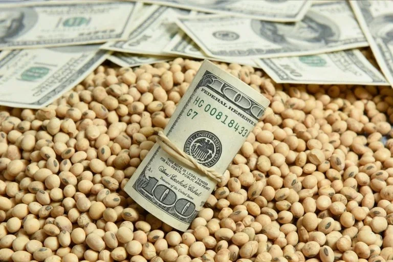 عقود فول الصويا تتراجع بنسبة 1.3% خلال الأسبوع