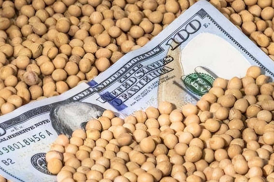 العقود الآجلة لفول الصويا تنخفض إلى أدنى مستوى لها خلال أسبوعين يوم الأربعاء
