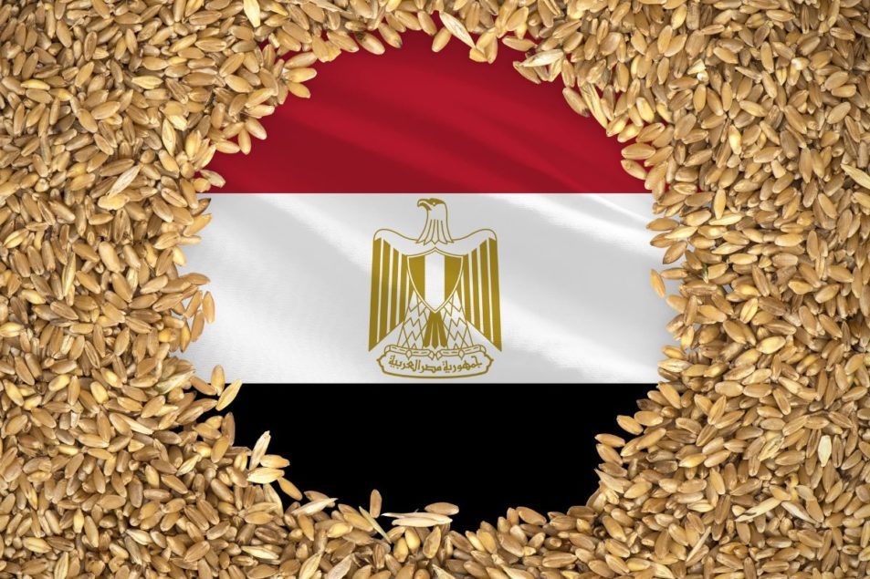 مصر تخطط لخفض واردات القمح 17% في 2024