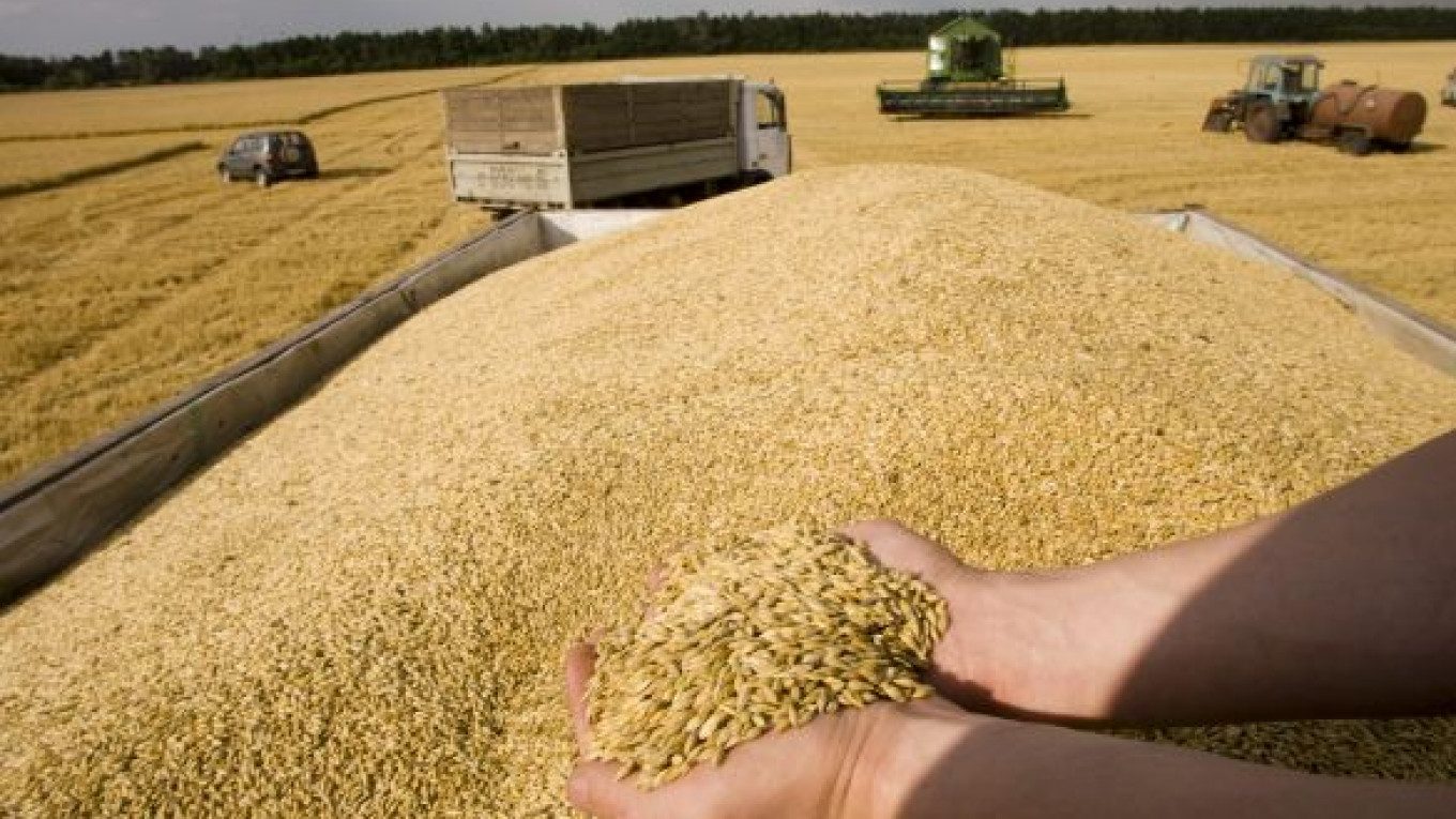 معدلات تصدير الحبوب الأوكرانية خلال ديسمبر تتجاوز نتائج العام الماضي