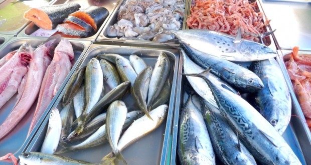أسعار السمك اليوم الثلاثاء في سوق العبور