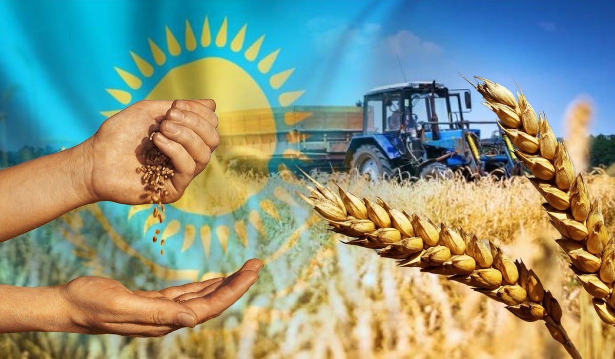 صادرات الحبوب الكازاخستانية تقترب من 4 ملايين طن لموسم 2025-2026