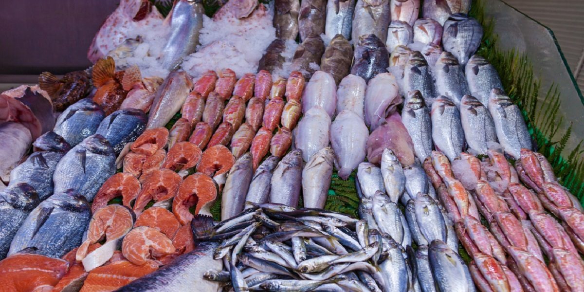 البلطي والبوري.. أسعار السمك اليوم الثلاثاء في سوق العبور