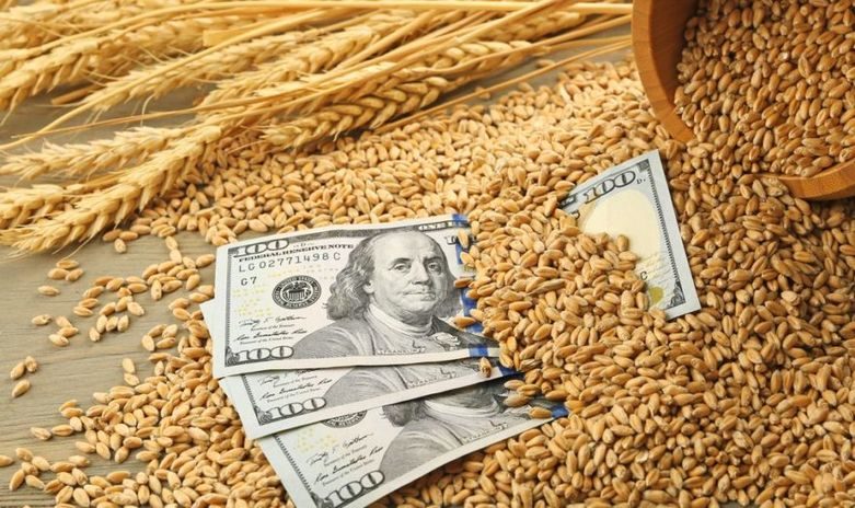 إمدادات قمح العلف تختفي من أسواق البحر الأسود.. وارتفاع أسعار الطلب إلى 210 دولارات بالطن