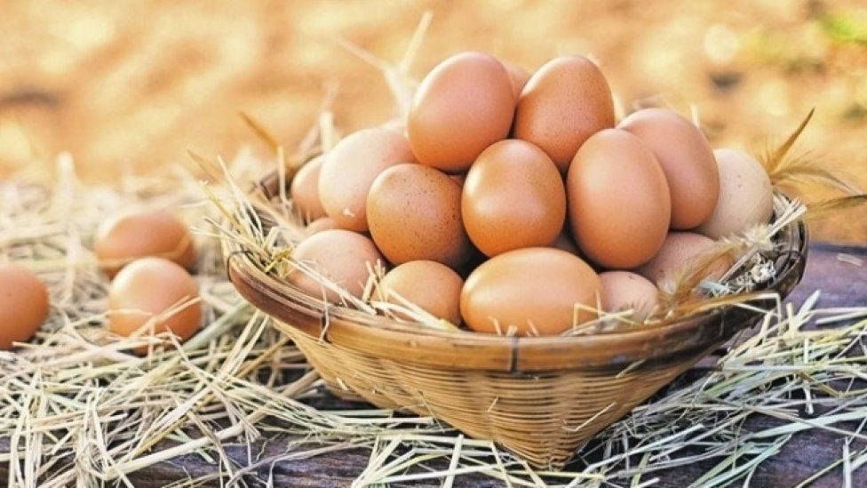 خبير اقتصادي: صادرات البيض إلى روسيا ستعزز قطاع الدواجن في أذربيجان