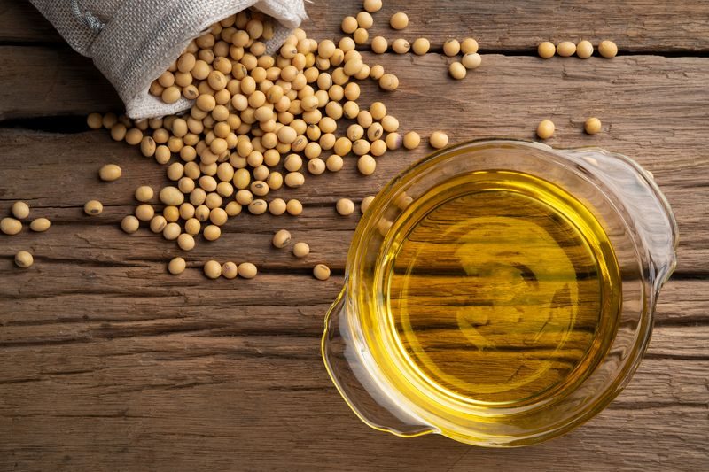 انخفاض معالجة البذور الزيتية في الولايات المتحدة بسبب تباطؤ الطلب على الوقود الحيوي