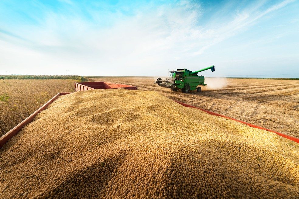 AgRural: اكتمال زراعة 51٪ من فول الصويا في البرازيل لعام 2023/2024