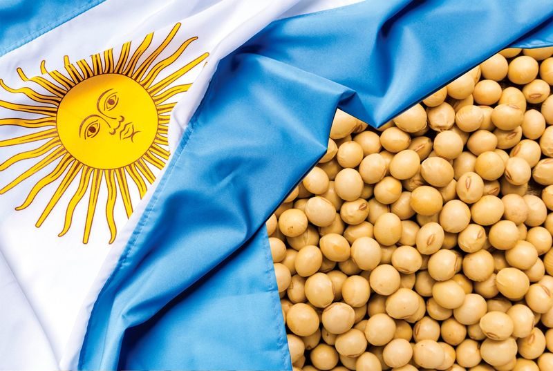 إلغاء الأرجنتين المؤقت للتعريفات الجمركية يزيد الضغط على الأسعار العالمية لفول الصويا