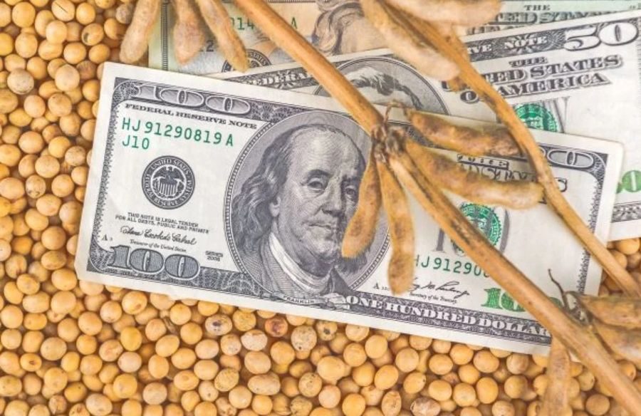 أسعار فول الصويا في أوكرانيا ترتفع على خلفية تأخر التسليم من أمريكا الجنوبية| تقرير