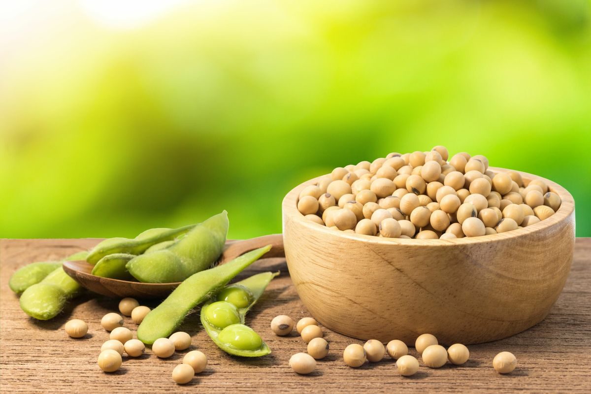 مبيعات فول الصويا الأرجنتيني تبلغ أدنى مستوياتها منذ 11 عامًا