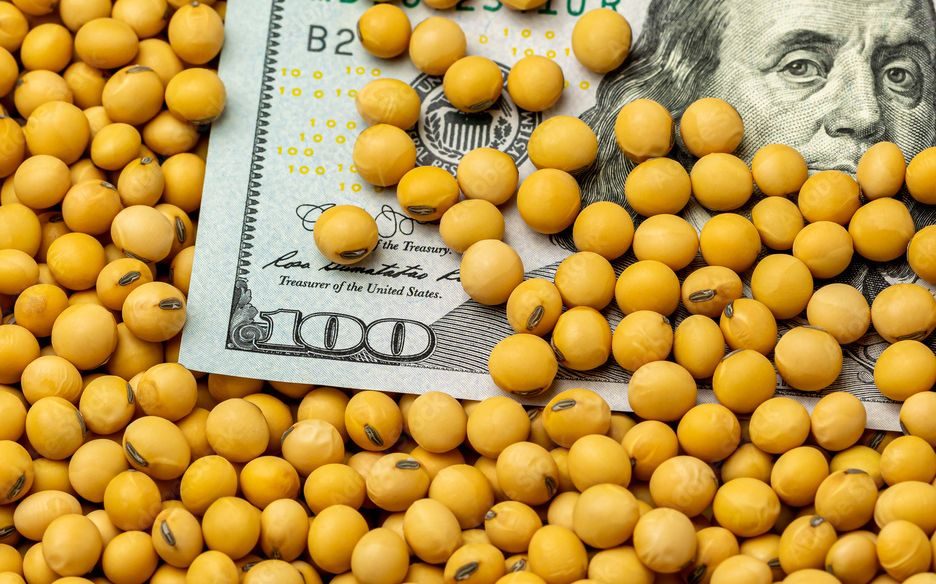 العقود الآجلة لفول الصويا تنخفض بختام الأربعاء وسط توقعات بمحصول أمريكي قياسي
