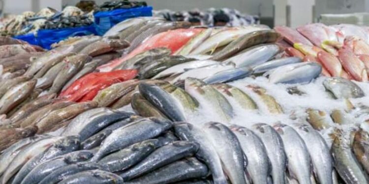 طرح أسماك طازجة للمواطنين بمنافذ الوحدات المحلية في الوادى الجديد