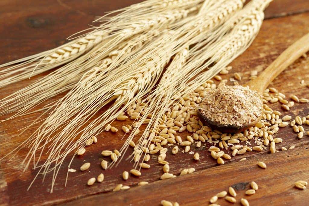 الولايات المتحدة تبيع 592.1 ألف طن من القمح خلال الأسبوع