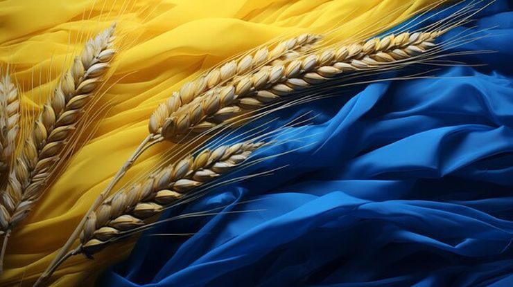 صادرات الحبوب الأوكرانية تتجاوز 2.7 مليون طن منذ بداية الموسم