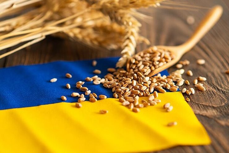 صادرات الحبوب الأوكرانية تتجاوز 3.5 مليون طن منذ بداية الموسم