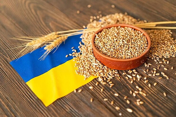 صادرات الحبوب الأوكرانية تتخلف عن مؤشر العام الماضي بمقدار 6 مليون طن
