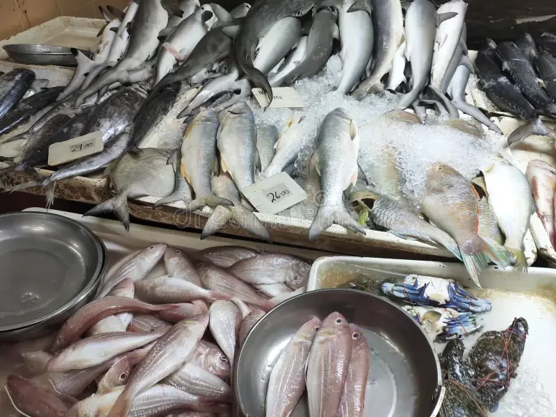أسعار الأسماك