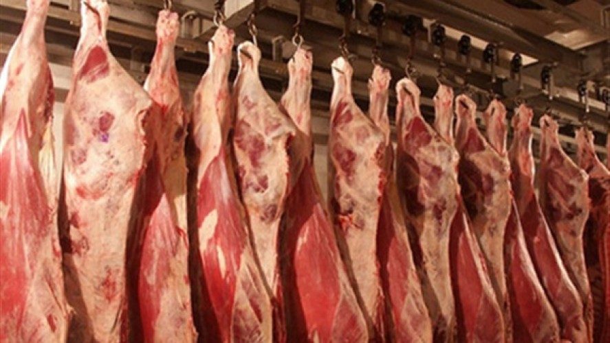 ضبط 200 كيلو لحوم مذبوحة خارج المجازر وغير صالحة في المنوفية