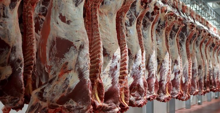 أستراليا تسجل رقماً قياسياً جديداً في صادرات لحوم البقر مدفوعة بالطلب الأمريكي