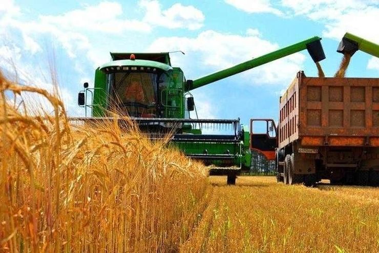 الفاو تتوقع إنتاج القمح في أوكرانيا لعام 2025 عند مستوى أقل من المتوسط ​​خلال السنوات الخمس الماضية