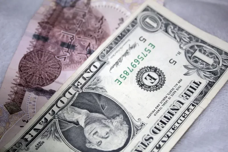 سعر الدولار