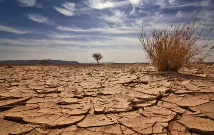 لأول مرة في تاريخه.. الجفاف يدفع المغرب لري مليون هكتار لإنتاج الحبوب
