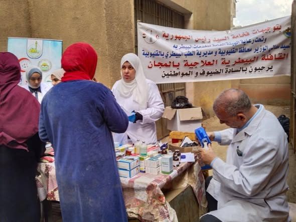 الزراعة