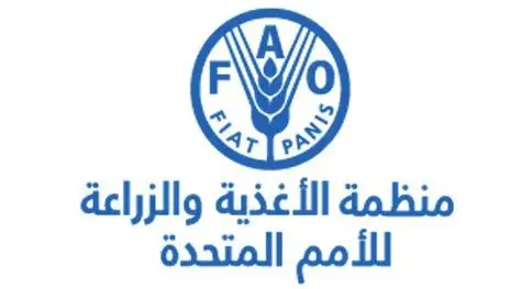 الفاو