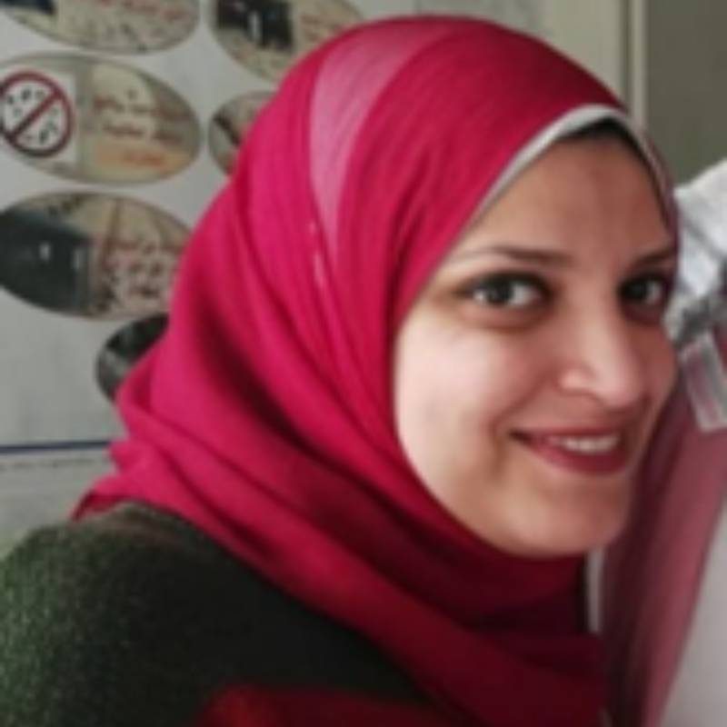 الدواجن