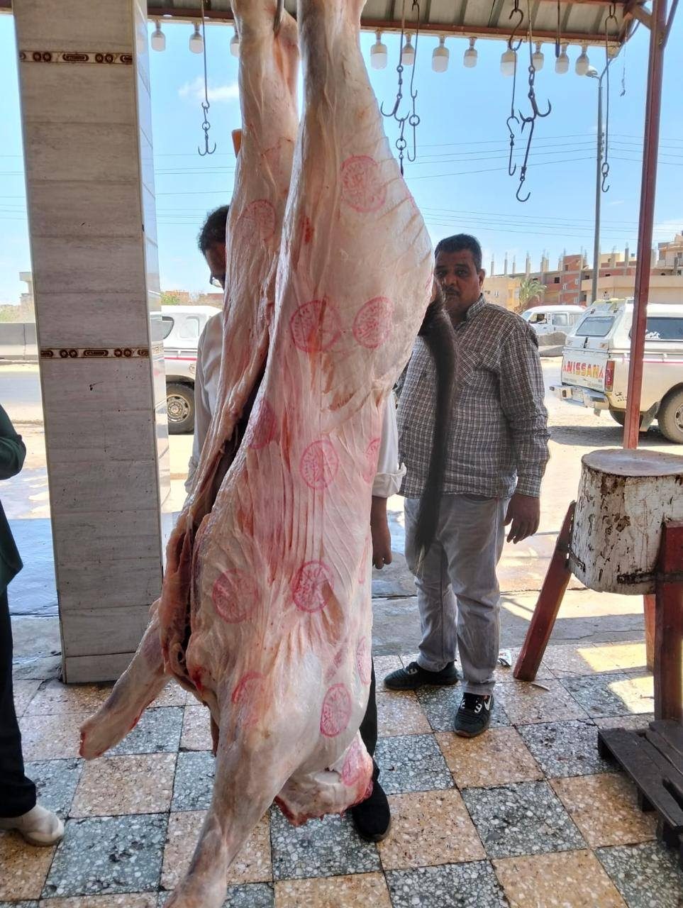 ذبح البتلو