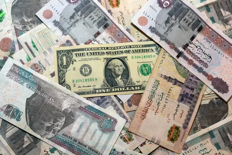 سعر الدولار اليوم